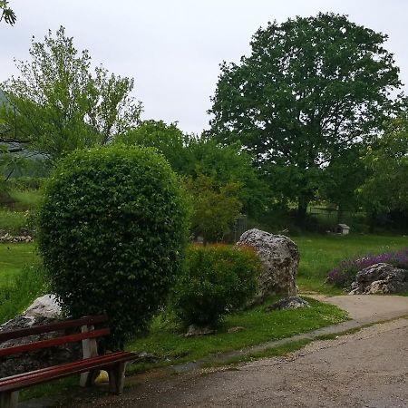 B&B Villa Ellena Medjugorje Exterior photo